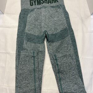 Gymshark Women’s Green Leggings Size Small